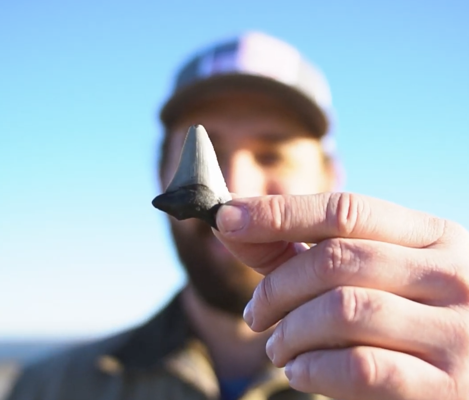 Charleston Harbor Boat & Fossil Adventure | Coastal Expeditions