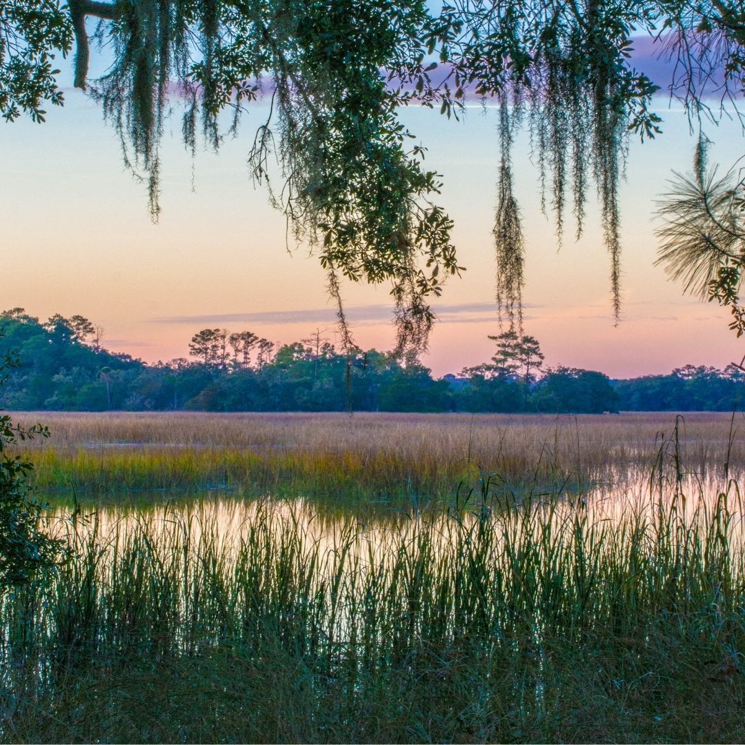 The Importance of the ACE Basin; Why Her Beauty is More than What Meets